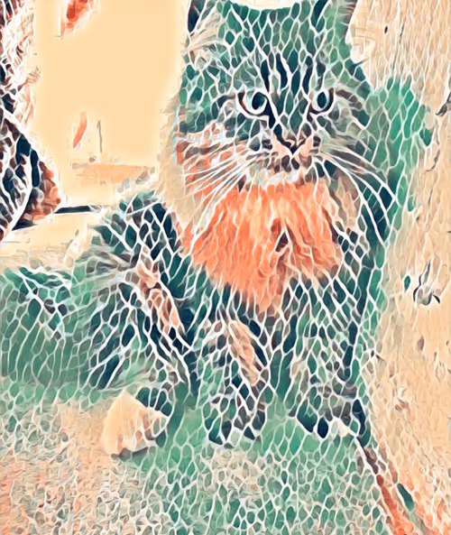 Item #29510731910910609866946623002702956419421614825625903317173568037366448259073 Media