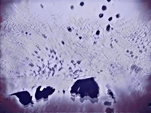 Item #16558374224031309544810590642259060897408029573872384606006677312400149970945 Media