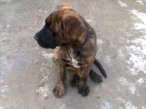 Item #7967281033894542222055828877453032867342209807388350993583448315617404256257 Media