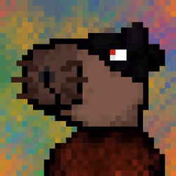 Capybara 20