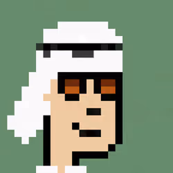 CryptoSheikh #998