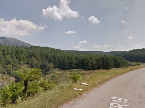 Item #21766675222774875702069380138995276219631073462771150610816622964224716439553 Media