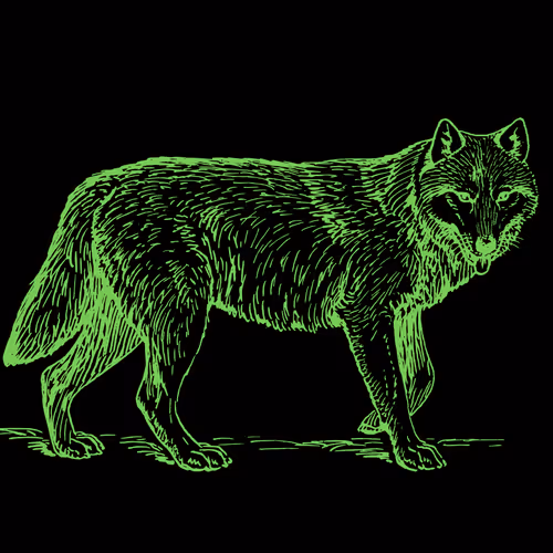 Item #25506781774429673479118459037672467037102609755826934466658808690844301787137 Media