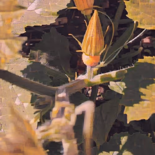 40653763381614500246509962942582017900966505181407803818520203230312742781928