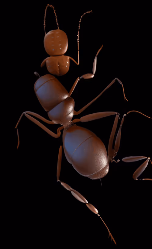 Item #79787343889813582877510155558909016850160649261811296348419943775804483174401 Media