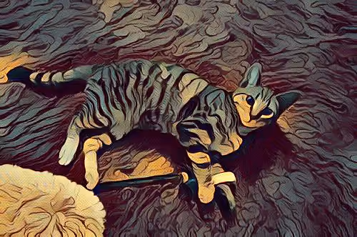 METADARKCAT #130