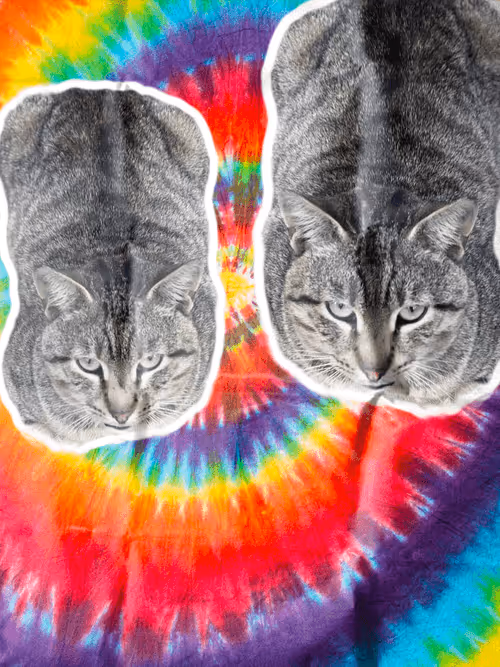 Item #102650025238985064889532626323507420633017859616961165632132730785234012864513 Media