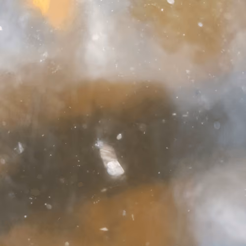 93670677946969715154963626537124121495444965990550895251141377020981179056129
