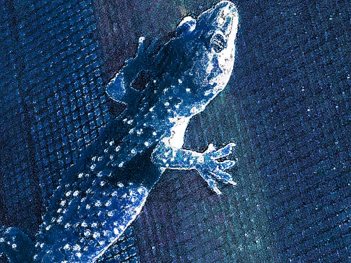 Item #88550933380159429652573600088596543452217115268663300900517750213335438065669 Media