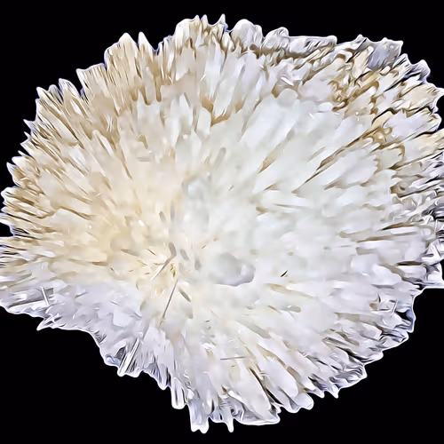 Item #94096604826532313810021462276079008274490893871398392433461387185035583422480 Media