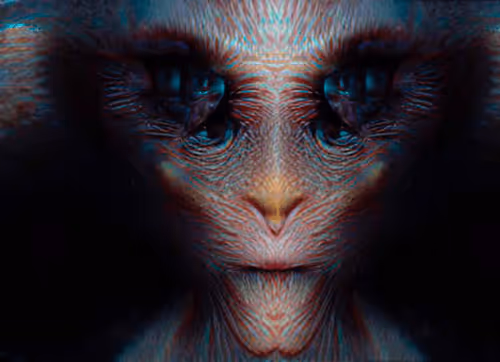 Item #68784204468317661808358982130292024159257065140617266355618735563386577223780 Media