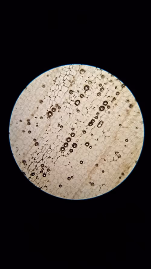 Item #95420953128624320217938367314518664826896982379798893312706769388168506507265 Media