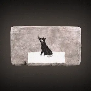 Item #25272857426570335054852562823676508602867186036386023390089810707879387201537 Media