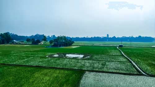 Item #79881050723478976597603312711140696422670200976584181801927160687711123144705 Media