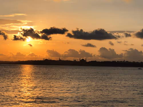 Untitled Collection #31305232