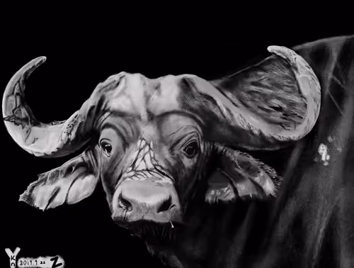 Item #78734824966403135947097540371630003060449633792958722417954054723339313741825 Media