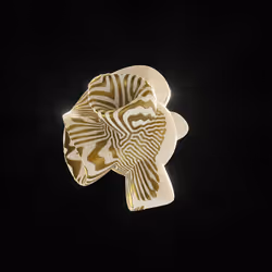 83535453821146316306178013320250520096293247508023240542449518930925054853121