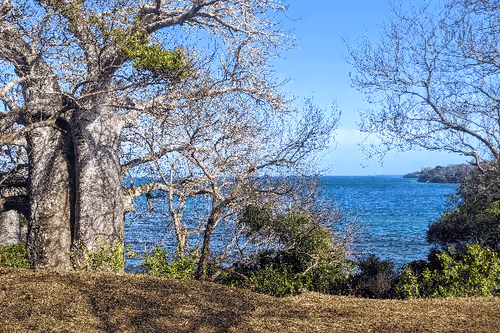 Item #11916173945107614281517961681746497361813567593602505538879878176904763671528 Media