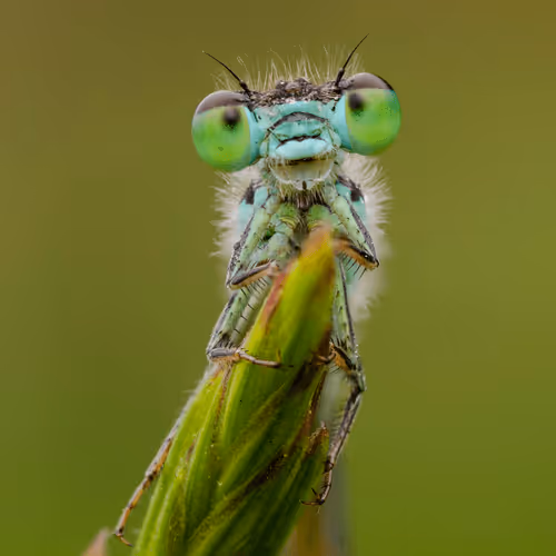 85482677209635580740523827451099252136629396536545148940270710377622223716353