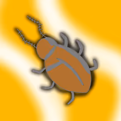 Grey shadow Roach