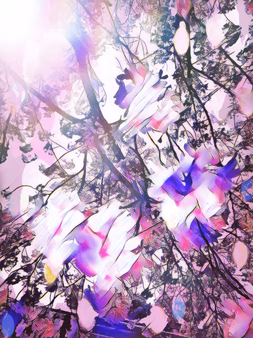 Item #45761928393139652703054468824796551892766939565608634773320190655593548087297 Media