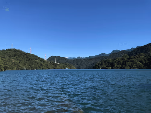 ToCoinTeam Collection