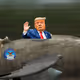 80340912600054084758423552781075491058500169881424247270461411909645660848129
