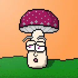 33741781216748986518517832568595493503429706584982134247768926027203443949569