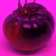 110692649264369377071495627220392981109400302920527361961030166711861602418689