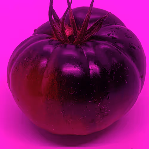 Item #110692649264369377071495627220392981109400302920527361961030166711861602418689 Media