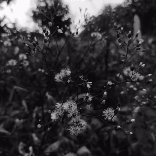 Item #67992331650723614361703023374283579868266072419832795467838943496671068160001 Media