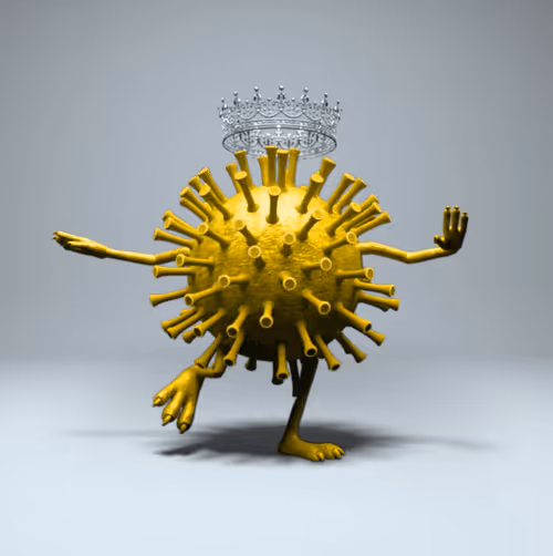 Item #36731047672651610346266928911421604711407556365979508923650172685256258224178 Media