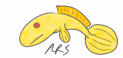 114148330580186833190483180509458686214946127132736554821290459220587636064257