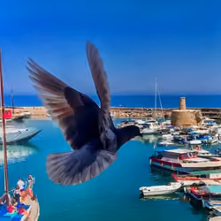 Harbour-Kyrenia