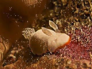 Item #74388721199083954673298778298232823886096642493620239959546429268080914857985 Media