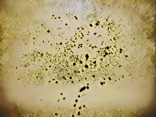 Item #16558374224031309544810590642259060897408029573872384606006677298106498809857 Media