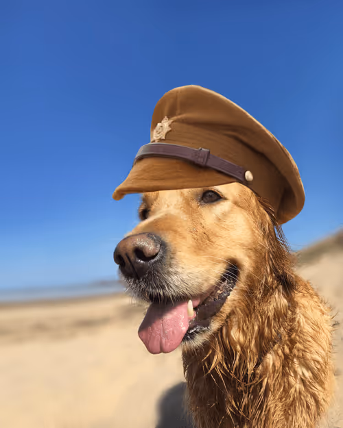 Item #26839399415497039076862880694069072006331525189107682525417321676332947472385 Media