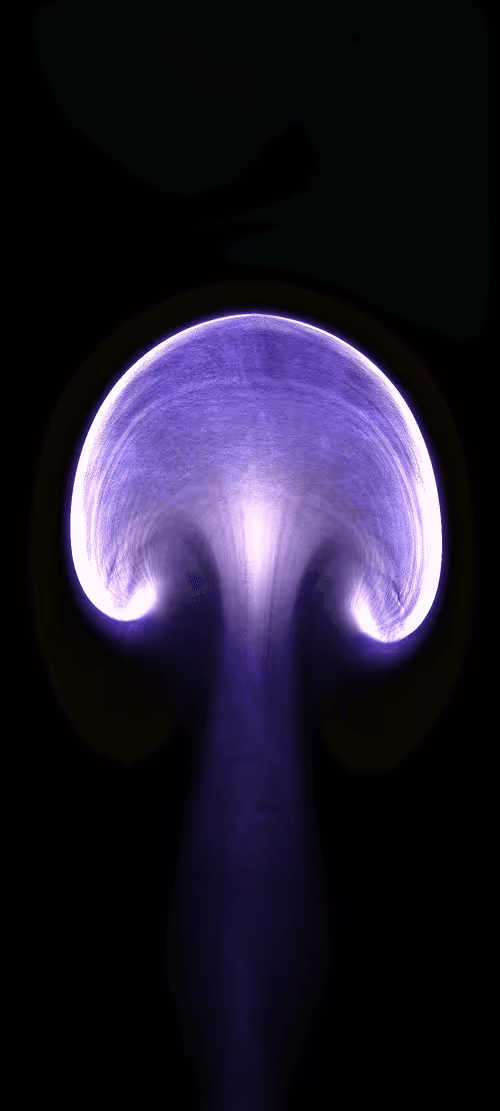 Item #30811687512936222812019848403034405815103538908942015009062010390039190568961 Media