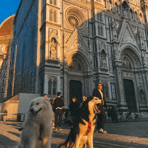 Item #75420545532376289755643247772624516451003297348438695466432477881392705830913 Media