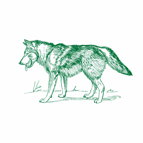 Item #25506781774429673479118459037672467037102609755826934466658808665555534348389 Media