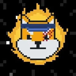 Rocket Shiba #995