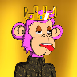 11330568019172807249143223643636648705313834105763400959180422423459835936769