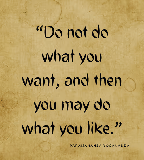 Item #74244561265385560548005883535502276132434054888589550816365993663503265693697 Media