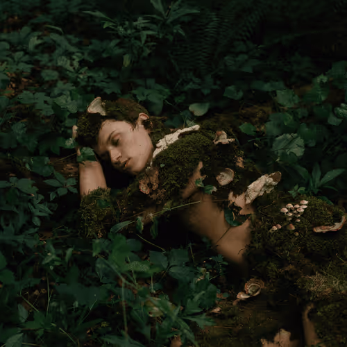 Item #78290495778488024413402900412975028234166831643233263215137554360470406692865 Media