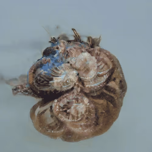 Item #4750064852715738149564930854294668621974194112560083604087540879878103498753 Media