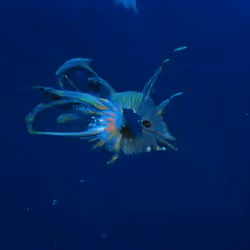 93923887731966639760197662534300547726212510779526051617655967354696564211713