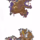 10460764831602855450713768742141816650848259597233971786521212641927000752129