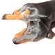 74388183107571848256633446996010033662379072698002169646249461042159760179201