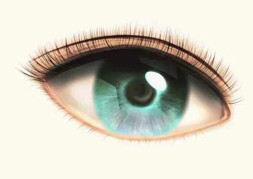 Item #42950694591796666568266939449637019646211598636303907727097118088095755927553 Media