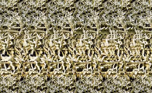 Item #24989702942326065116153480508525724290061186855920669131466917265828009213953 Media